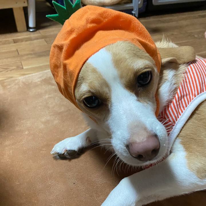 236cc2c2 910e 4c41 b8c4 d8285898645e 1624959108320