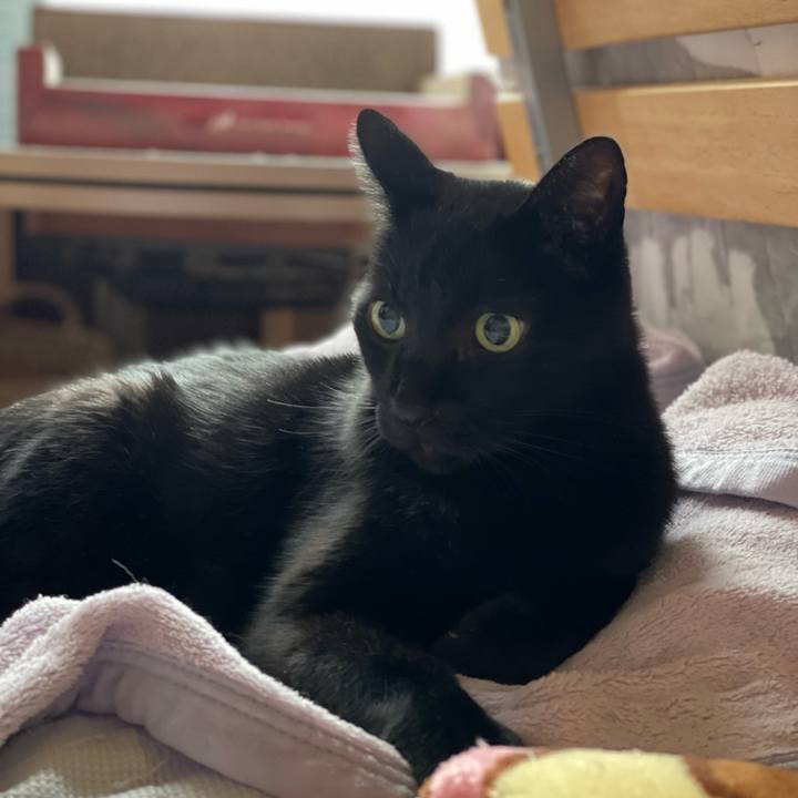 236d0443 3d08 43cd bbec a25e55f845d8 1636855941222