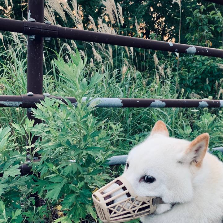 236d199f 1942 482d 8ca0 10e1dc5556ec 1599599409059