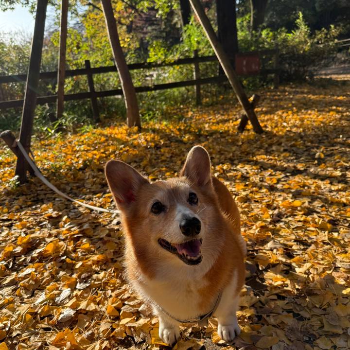 236da72f 7692 4b8f bbc8 c280c24fcaf5 1764483675130