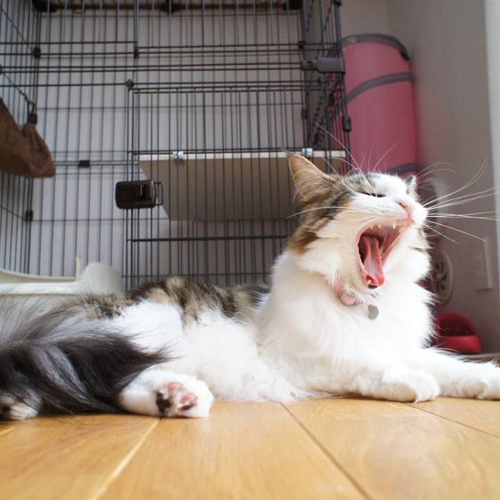 236db50e 0f30 4790 80ea bdb127412593 1538962240105