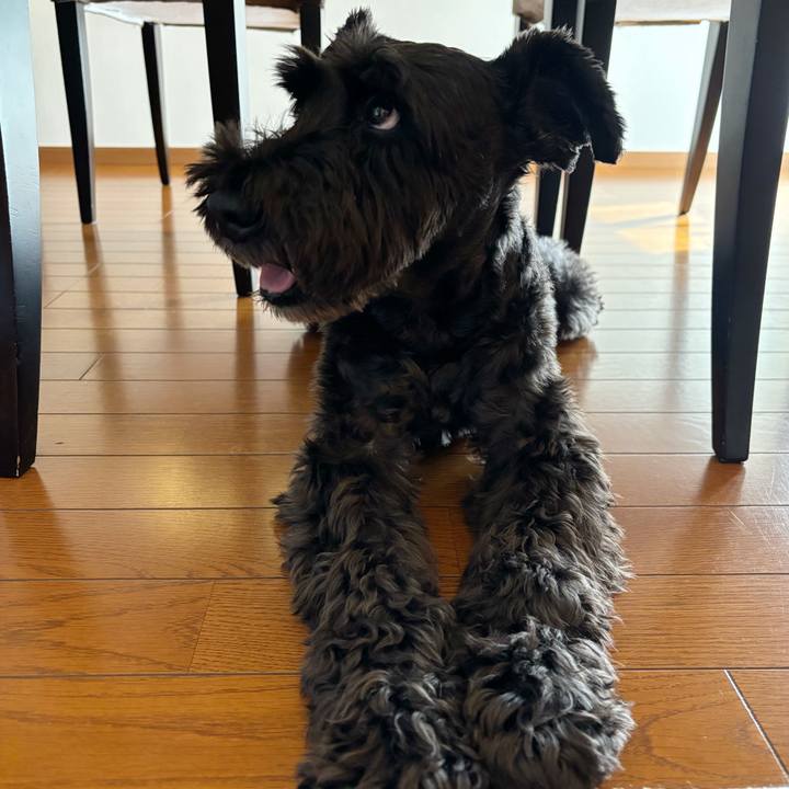 236db8b0 811c 4f3c 8c48 37058962077a 1760323324422