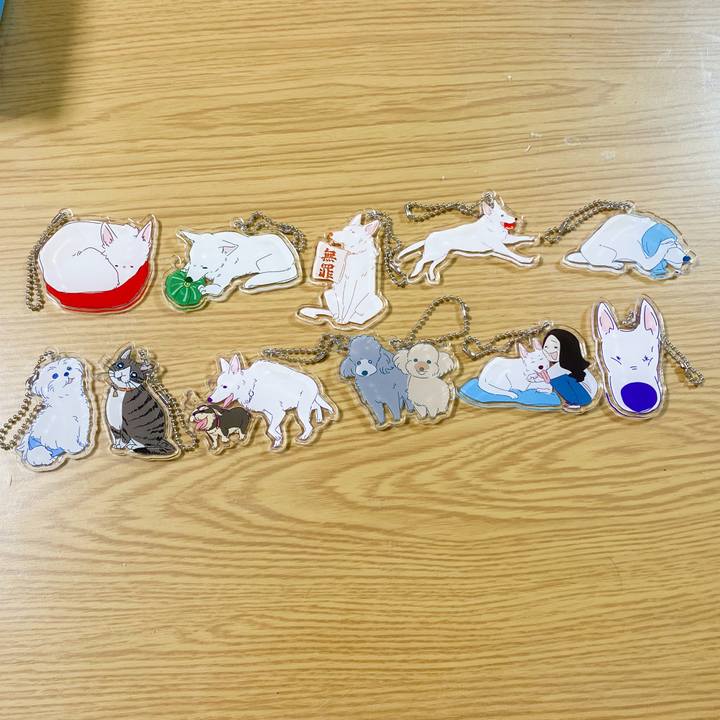 236dd863 7556 41b5 87ef 1c24531d841c 1670765470249