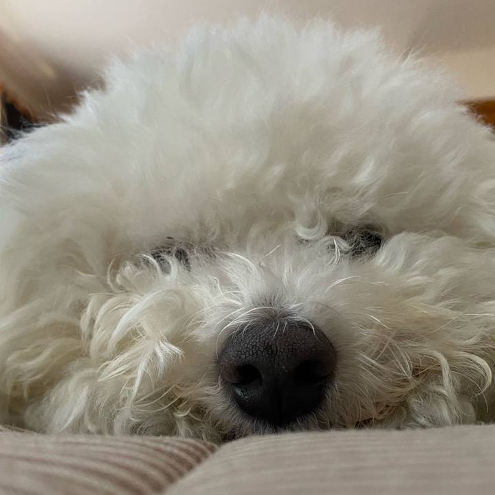 236ddffb d616 42eb 87c4 074d2f39d42e 1686987028485