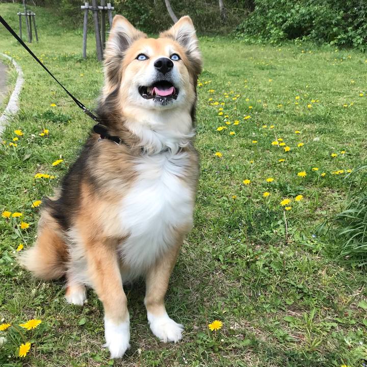 236e03ff d8d8 4911 8060 8d5dec392ed6 1523167372488