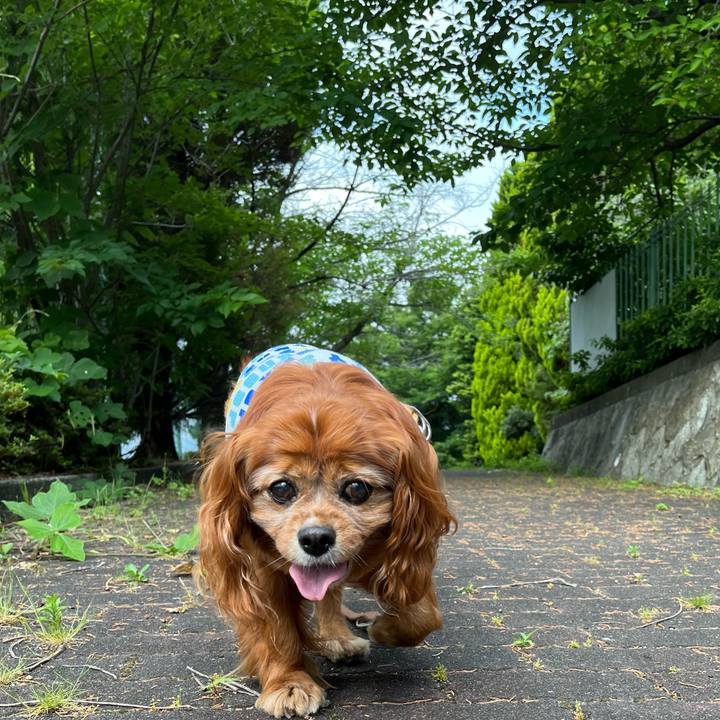 236e25a7 304f 41ad 8a91 8c425f9f6aba 1750460703907