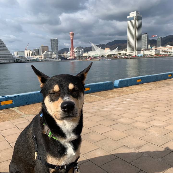 236e5301 dd7e 4066 b320 2ac6954488f2 1546787864530