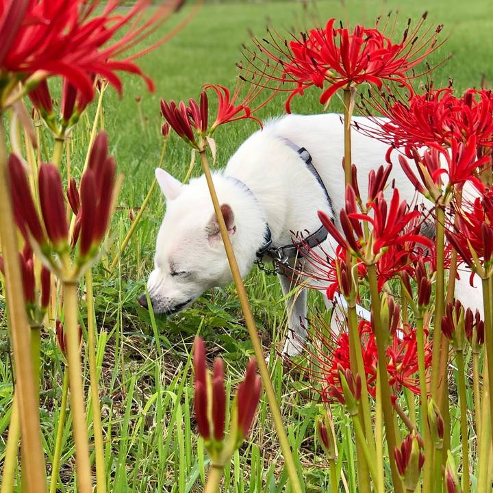 236ec681 707d 4f89 a71a 1e5bbab4173d 1600164069798