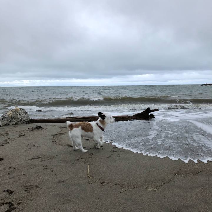 236ecc5e 9810 4270 b6db 51a0c7ab9310 1594509921634