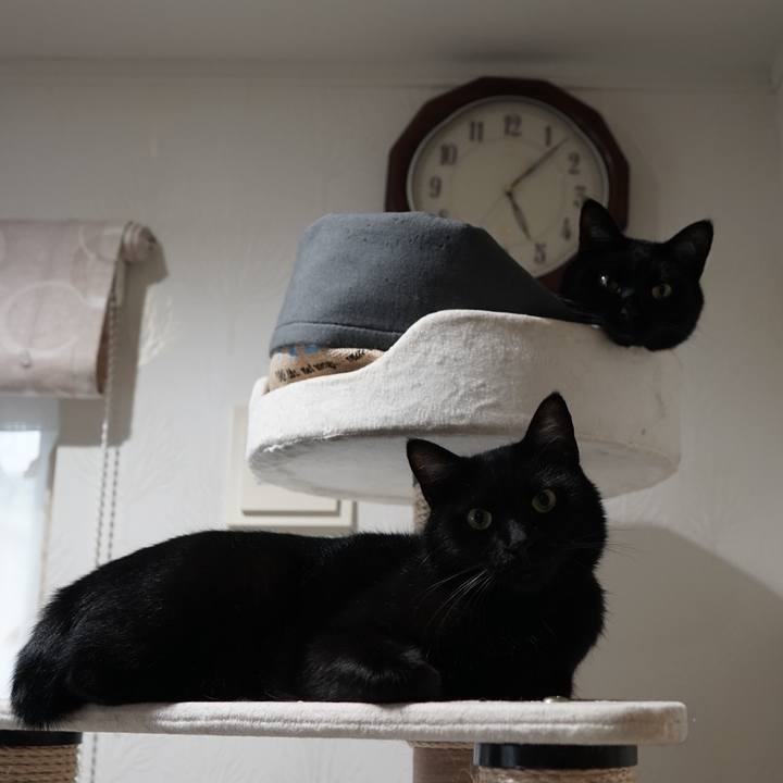 236f0f4c 2507 4af9 870e 43c29fa12192 1562576277116