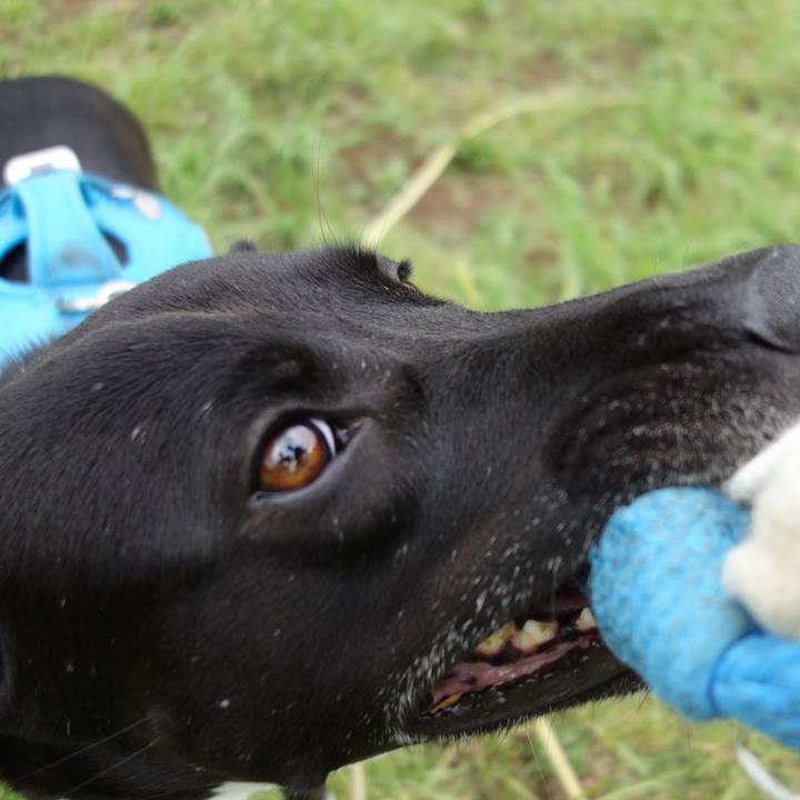 236f2c40 de02 4f74 99d5 c097d7542b58 1622334683562