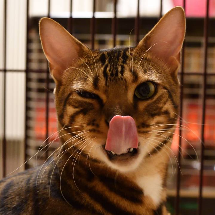 236f3e6a 602e 4f2d b927 6177f327fabe 1512137203277