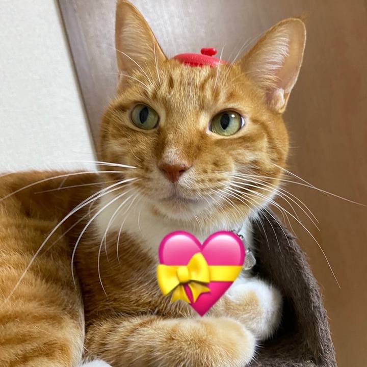 236f6bd6 0134 4aee a858 67b4b141cd6b 1739534121597