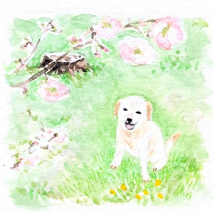 236f72f1 d2a4 4481 8826 b0d8a11e8dec 1773656104209