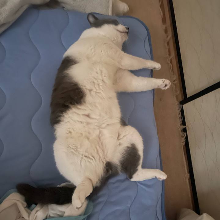 236f910c 4f49 4821 8658 5ff66e776ebc 1721427714637