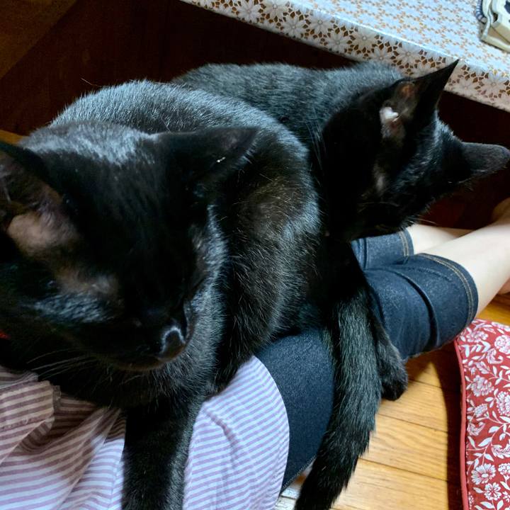 236fc104 a83f 41d8 a885 b0056282c94b 1598879670210