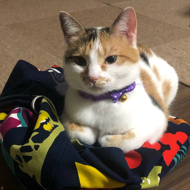 236fe791 3c7a 4470 8450 4e3e81f6a6c0 1602770565877