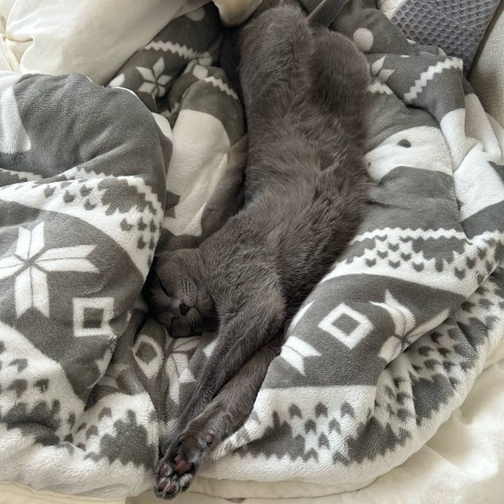 23700f33 8994 4aca 8f44 8d324b34ed07 1711855749429