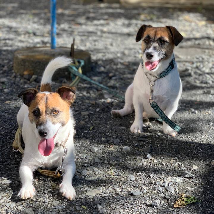 23701a5d 5cbb 482d 8471 652d0c4a8ac6 1570927457646