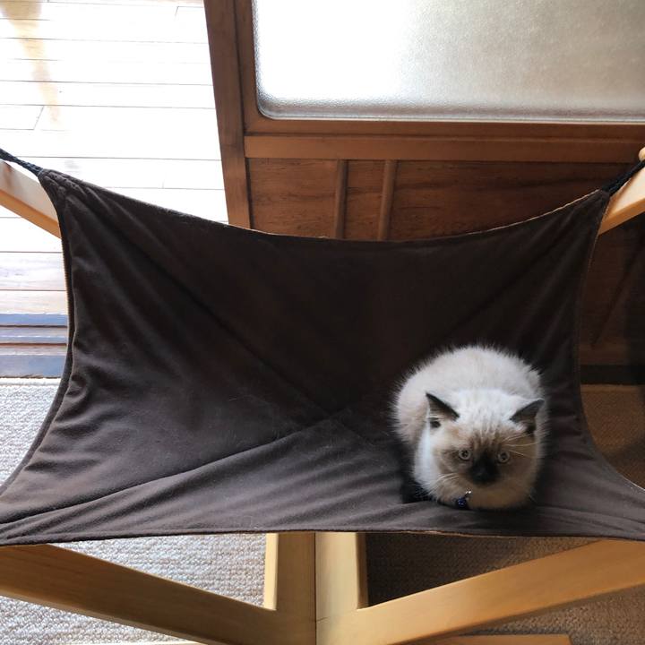 237054a0 90d7 4ede a0dc f9c068e2b2a7 1585720727568