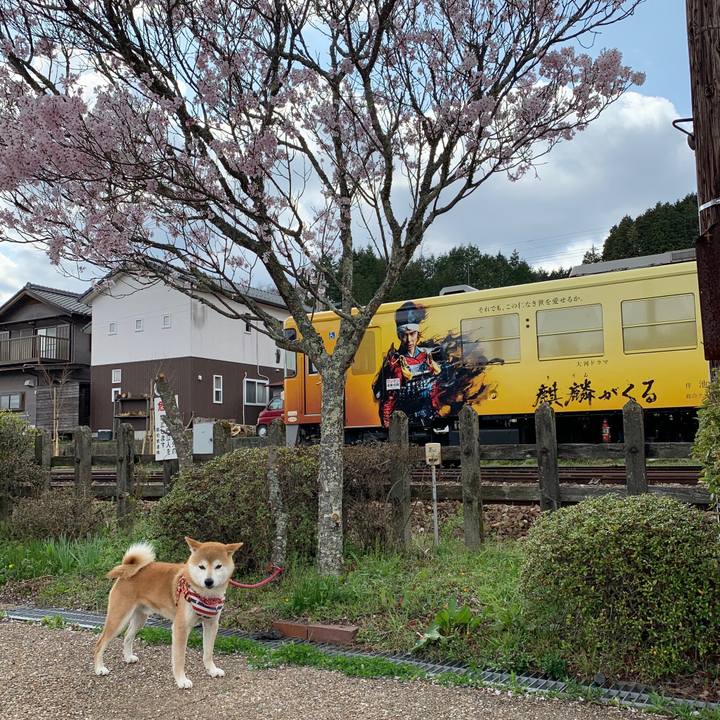 2370780a 6e8b 407b 8beb 497b537a785f 1585912225476