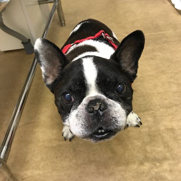 23707874 489b 48d2 9c7c 38dfae4f7277 1537160029783