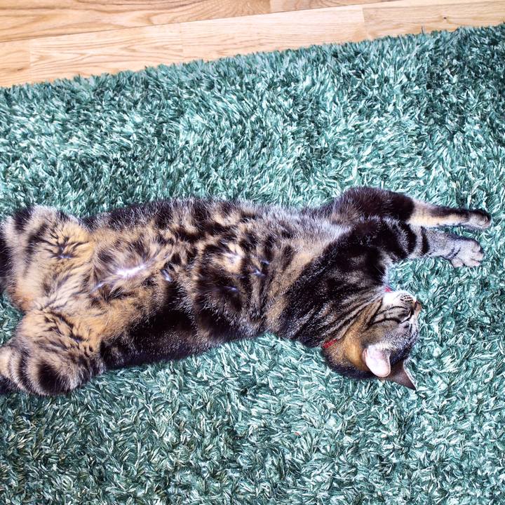 23707e76 c6ac 450d ac30 ec7564dd6c1c 1592312692643