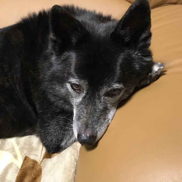 23708d2a 78d8 46de bc0e a6caa5901312 1614748554268