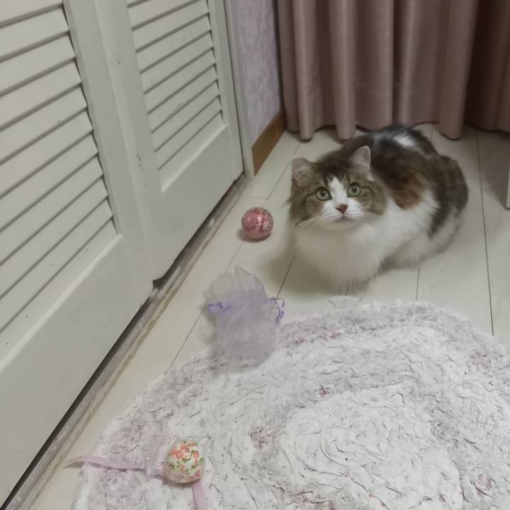 2370de8d 7784 43af 9b8f 31a34fb3640e 1686173545469