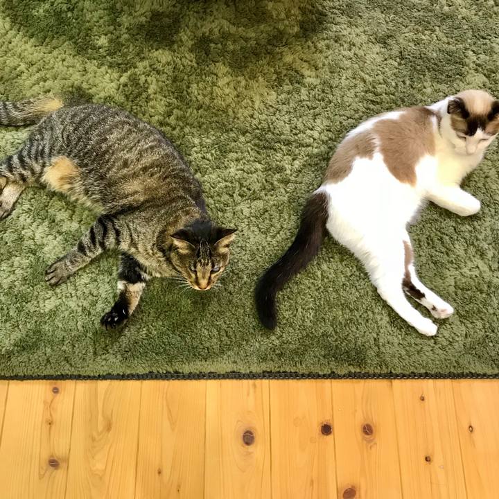 23714d17 9018 4168 8aa1 d0bfe4c99da6 1535709427858