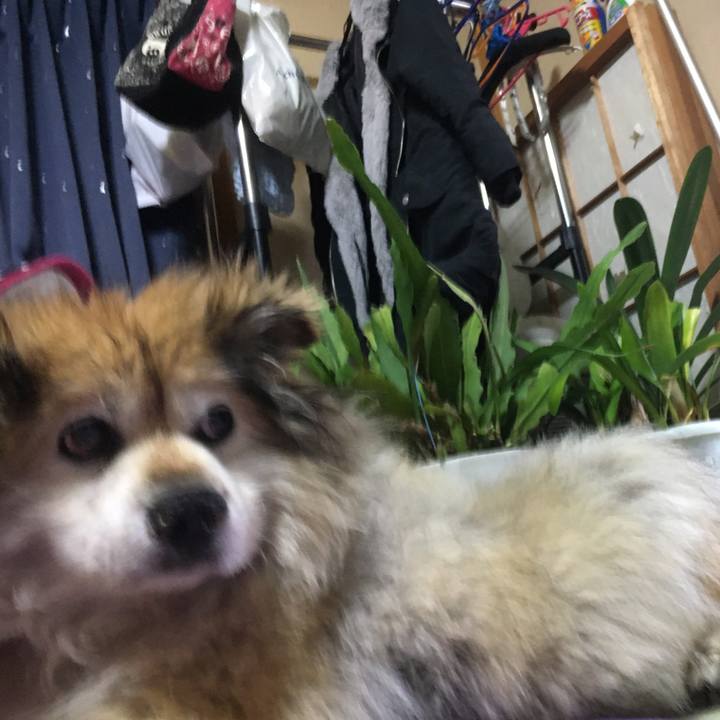 237157b1 8ec4 4486 b1f9 6817b9b4d6bd 1552257052646