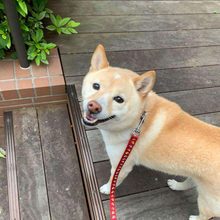 23715d30 3790 43ee a468 f73f9e941f18 1653434512273