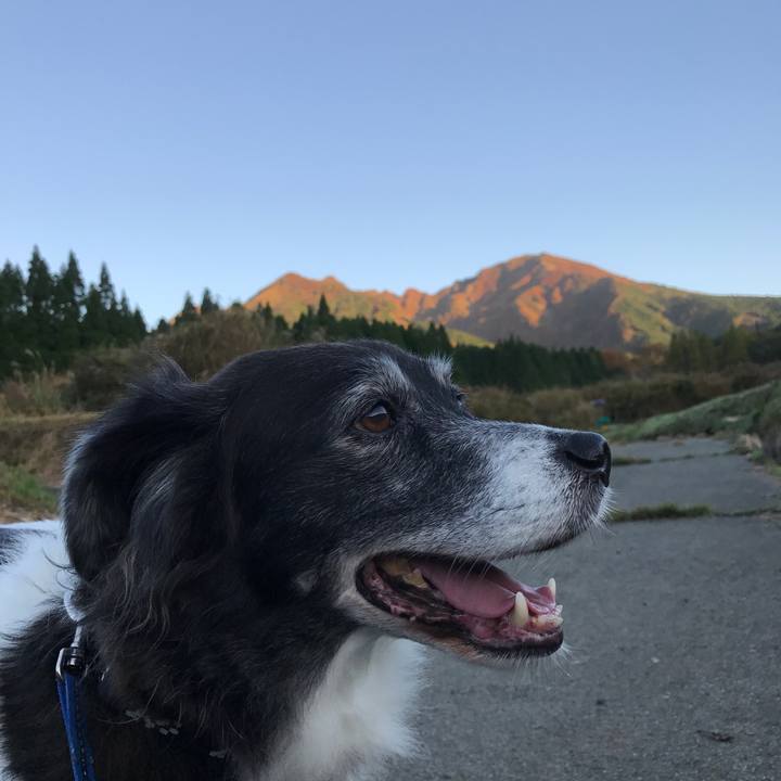 2371694f 2cd0 41f0 8789 c84b23b12f82 1509422802053