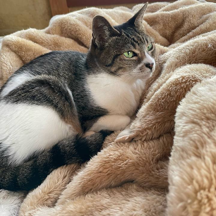 237181ec b2a5 440b 837f 4f9401e2f0e9 1646101214382