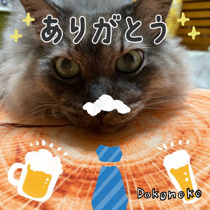 23719f9a 637b 4c87 a897 1eb7f951b2a0 1718058266029