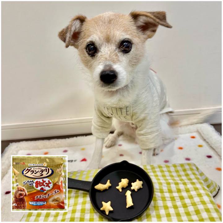 2371a362 a4fd 4db0 a1a6 ad53c2c7b9b2 1705728304338