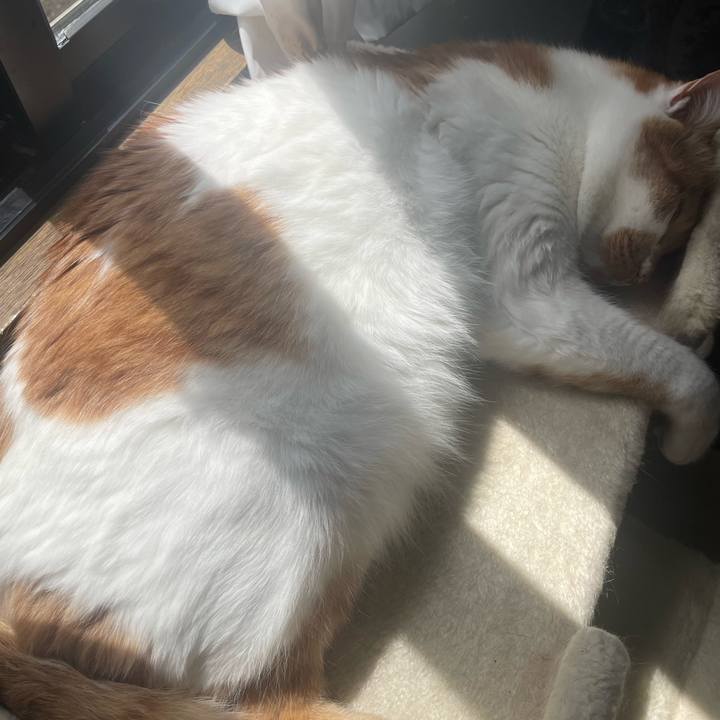 2371bdbe 9400 4e38 81e1 5fe0a897de09 1745033852156