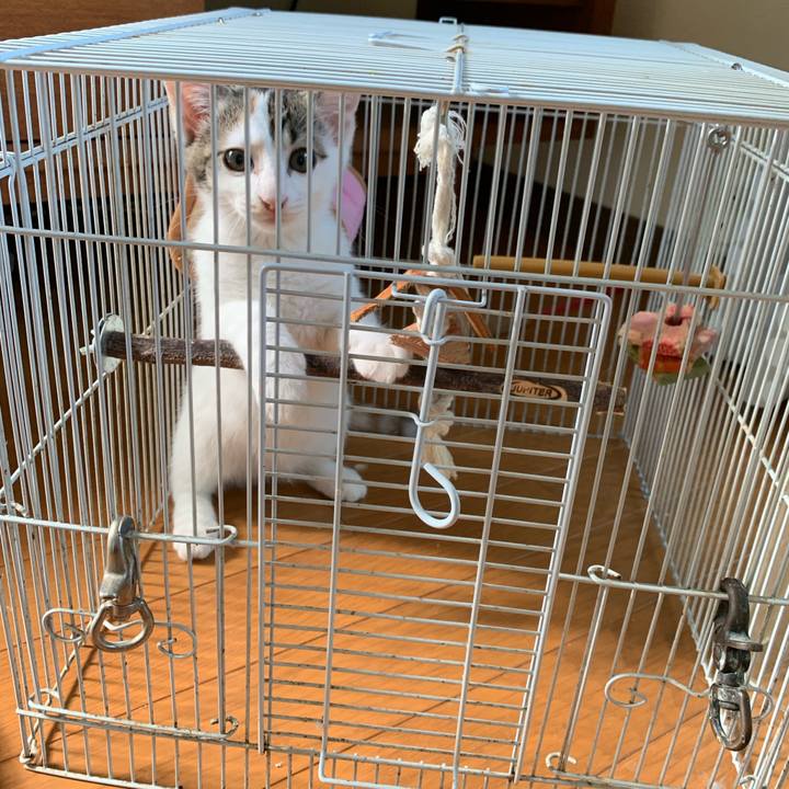 2371cc71 fe7c 47b7 84c7 19a49464f879 1593649070670