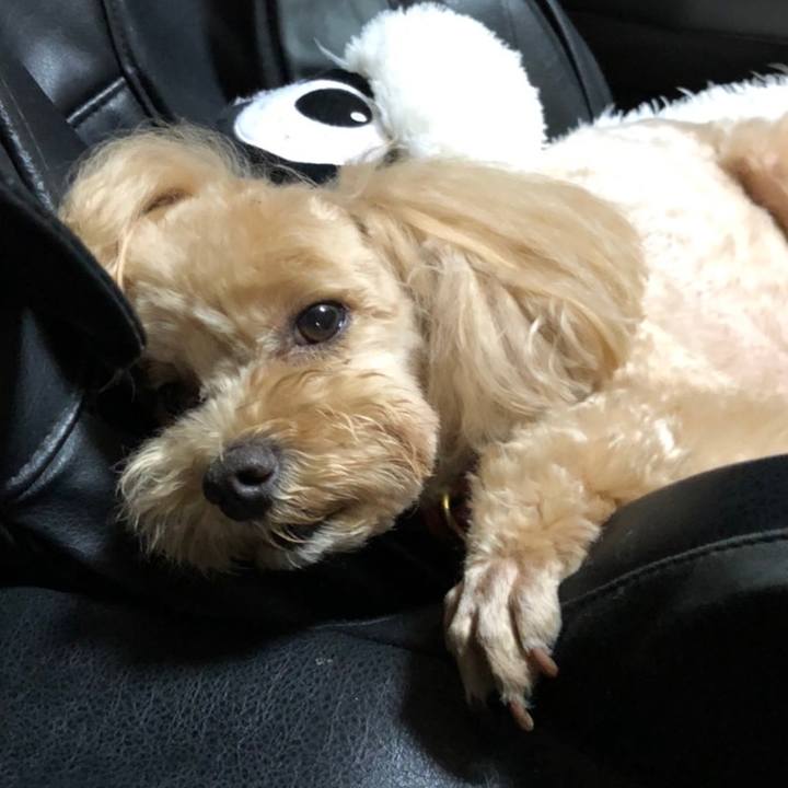 23722262 436f 4bdd 993f 5cc1c8d6aae5 1690916758178