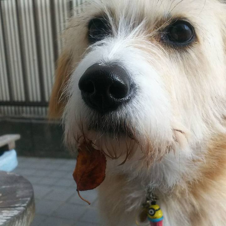 23725790 dece 4806 8e77 23e1b931abd4 1509624010554