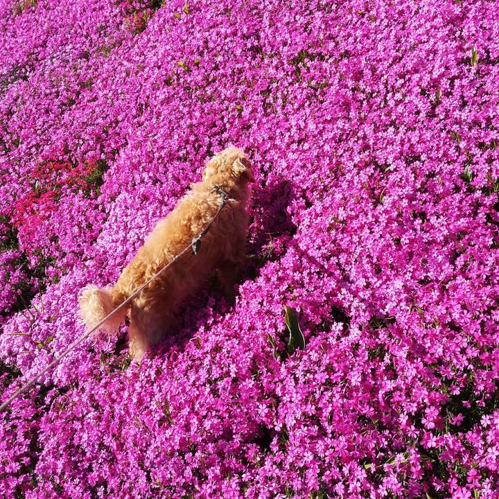 23728cbb 2a68 460b 9491 ee6eda149d70 1527291471183