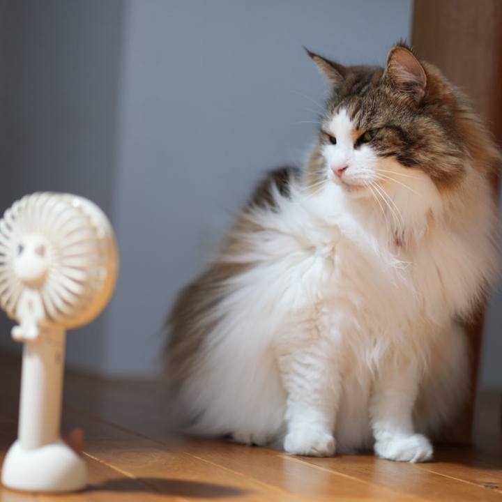 2372a6b0 b66f 4ac1 be88 5e051b058b19 1753505959594