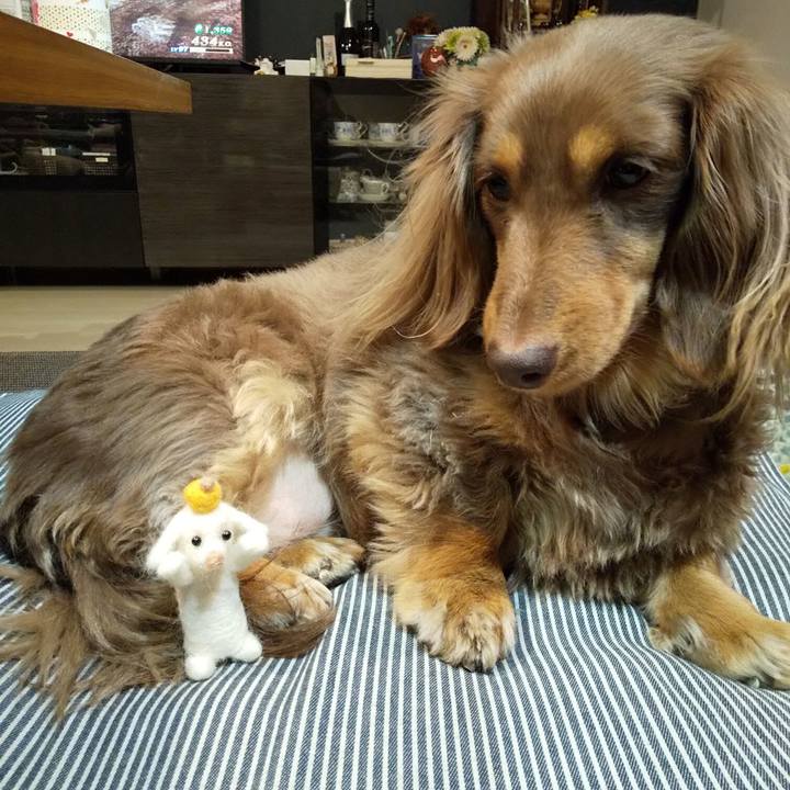 237302b9 f315 40ac 9ee9 f3d8f35d0925 1548585797844