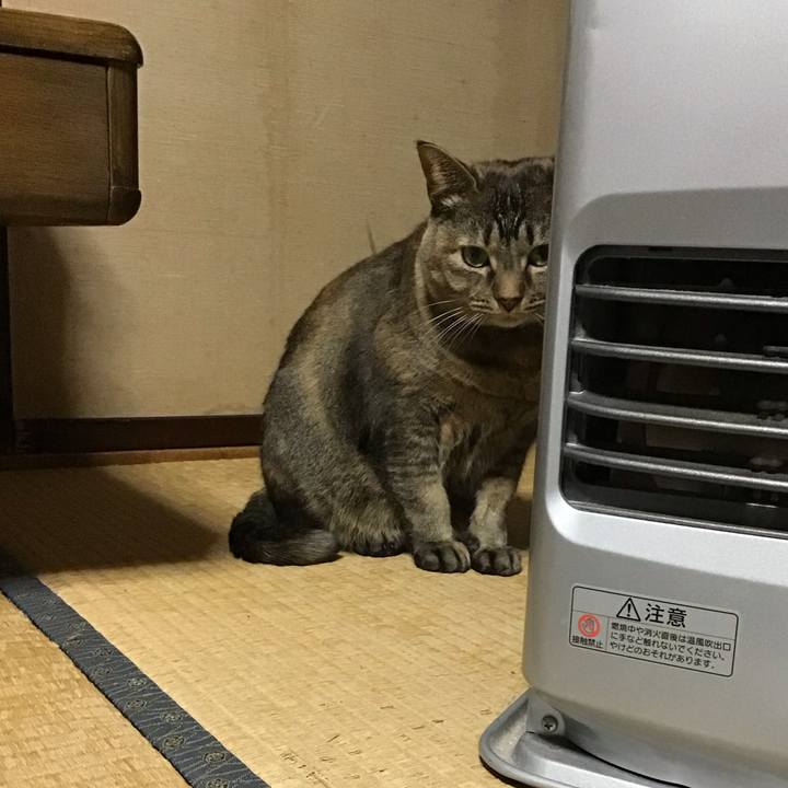 2373222a 5c94 4a45 ae6e a874c396e019 1706181294470