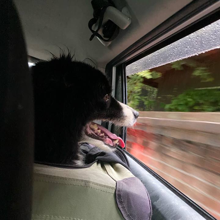 237352af 6490 4467 950c 0dd48280a2fc 1660601369982