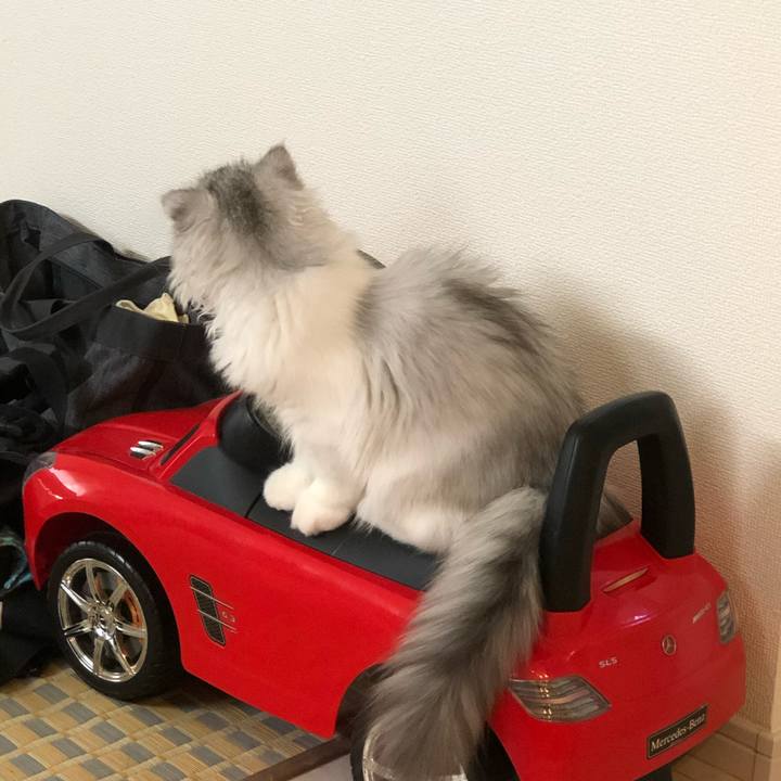 2373f555 e0bd 4788 815e e00cb69cb8cf 1598823750698