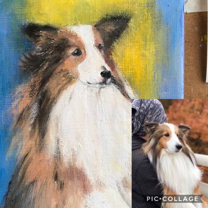 2373fb57 d1d1 4978 8c0d 6c8faa88025a 1584592469591