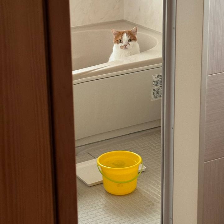 23741c05 849f 4121 9833 8f26ed98cefb 1761464585434