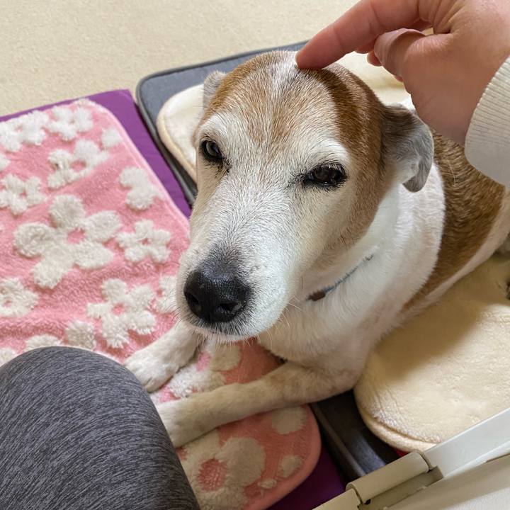 237477e8 2a91 4577 8708 5895487a6b58 1647040092421