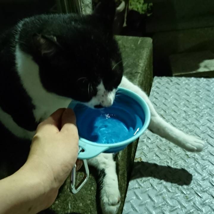 237491ae 8b5c 46b0 99a3 1b279de6ed3e 1533387921132